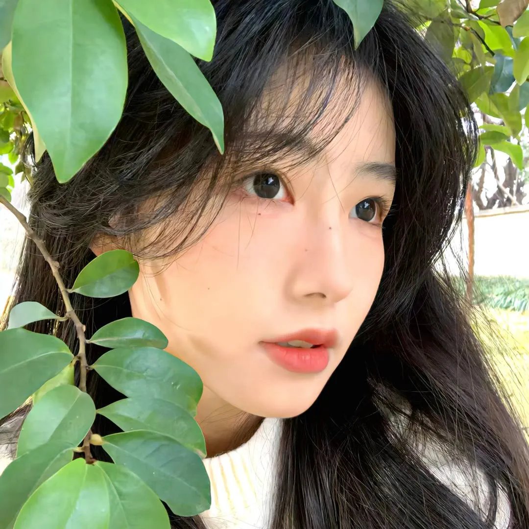 狂宴