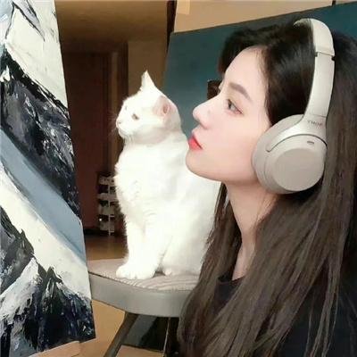 大王不高兴第二季
